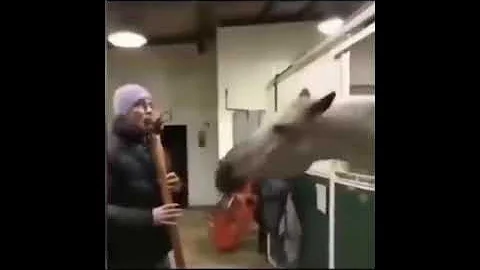 Your brain on quad damage (from r/quake)