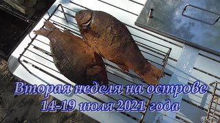 Вторая неделя в Лукоморье 2021