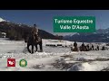 Tg 2 Turismo Equestre - Valle D'Aosta