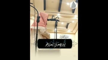 تلاوة خاشعة {يوم لا يخزي الله النبي والذين ءامنوا معه}