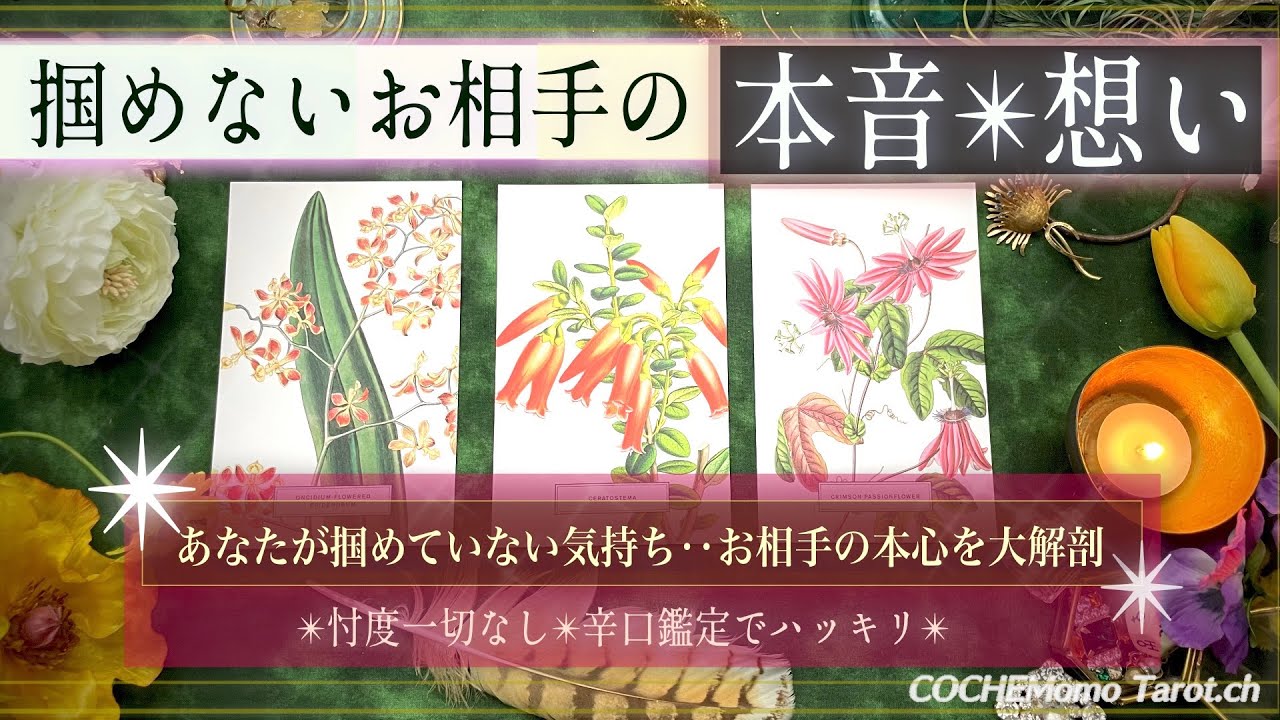 【考えが見えない彼🙋‍♂️🔎大解剖】掴めないお相手の気持ち❤️【辛口✴︎覚悟】本格リーディング、忖度一切なし