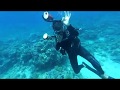 Diving in red sea. Egypt Sharm el sheikh