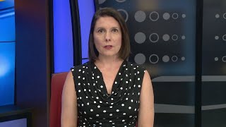 Jesse Taylor Jr. Trial Day 6