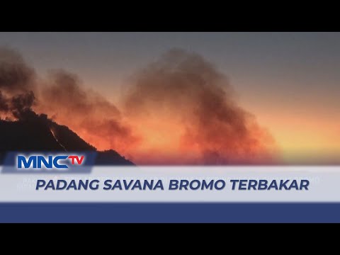 Kemarau Panjang, Kawasan Savana Wisata Gunung Bromo Kebakaran - LIP 02/09