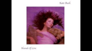 Video thumbnail of "Kate Bush The Big Sky"