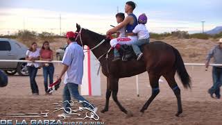 LA DUQUESA VS EL ANTRAX 375 YDS CARRIL EL MEDIA NOCHE BERINO NUEVO MEXICO 31 DE OCTUBRE DEL 2020