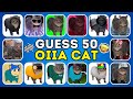 Guess 50 OIIA Cat Songs Variants By Their Voice OIIA OIIA Spinning Cat Quiz