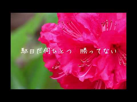 高嶺の花子さん/back number【歌ってみた】【ピアノ伴奏】