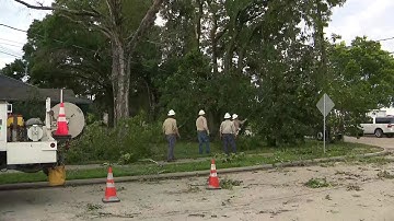 Crews work to clear tree that took down power line in Katy