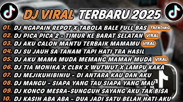 DJ TIKTOK TERBARU 2025 - DJ NGAPAIN REPOT X TABOLA BALE🎵DJ PICA PICA 2 - TIMUR KE BARAT SELATAN🎵