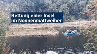 Rettung einer Insel im Nonnenmattweiher