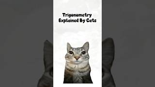 Trigonometry Explained by Cats #cats #factshorts #facts #maths #fyp