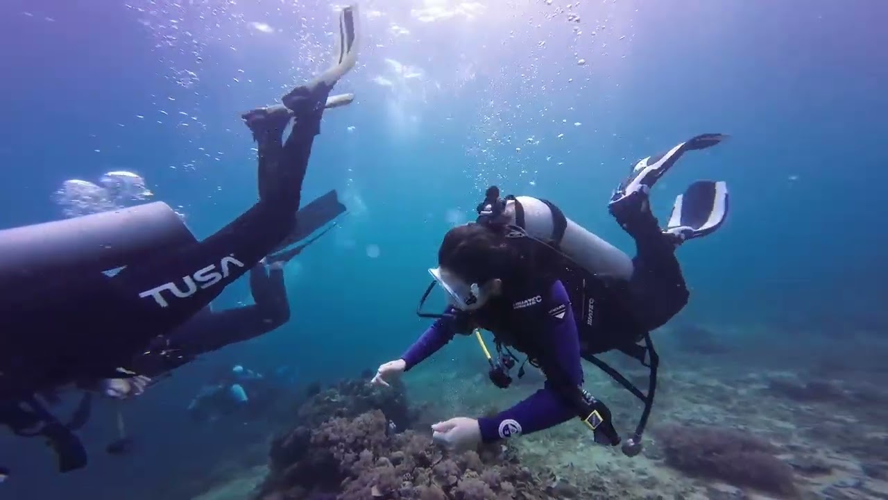 Kirby’s rock, Mabini, Anilao; 1-18-26
