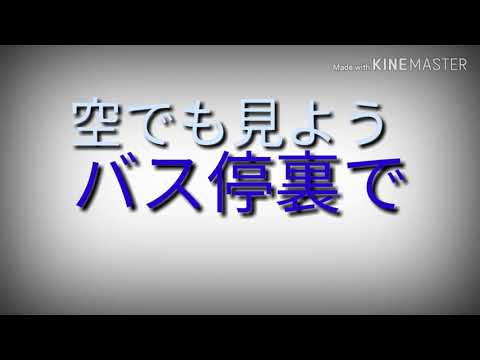 東方　PVただ君に晴れ