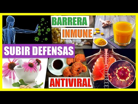 Combatir Los Virus Con Hierbas ANTIVIRALES - Remedios Caseros, Eliminar Bacterias, Aumentar Defensas