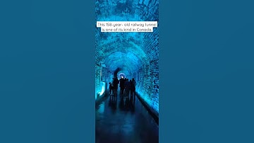 This old Brockville Railway Tunnel is a technicolour treat for tourists | #shorts #youtubeshorts
