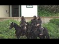 Horseriding apes spotted in sf to promote upcoming film kingdom of the planet of the apes