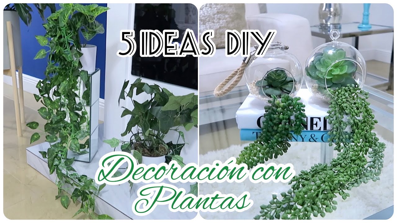  Hierba verde musgo artificial de 10 onzas, musgo natural para  plantas falsas de interior para decoración del hogar y la oficina,  manualidades (verde, 10 onzas) : Arte y Manualidades