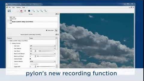 pylon 4 viewer recording feature