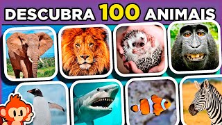 🐾🕒 ADIVINHE O ANIMAL EM 3 SEGS | Parece fácil mas não é. Só 3% vão acertar todos #quiz #macaquiz