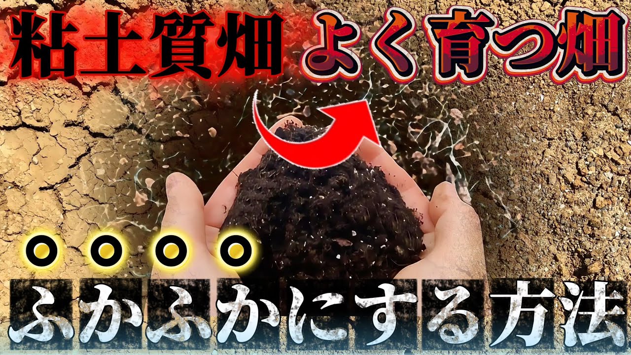 Here's how to transform clayey fields into soft, fluffy soil! Just