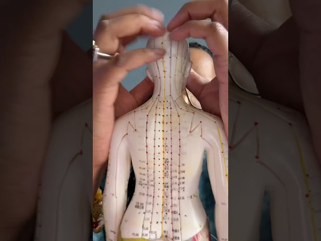 ASMR fast and aggressive acupuncture doll scratching #asmr