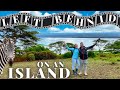 HOLLYWOOD Forgot About Them Since 1985 / Crescent Island in Lake Naivasha Kenya