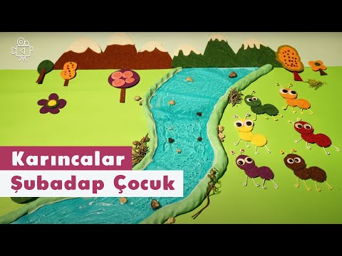 Karıncalar | Video | Şubadap Çocuk