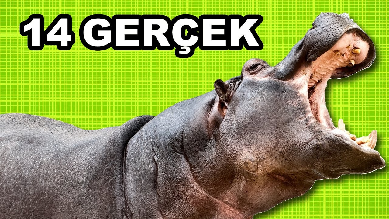 erkek arayan kadın ilanları