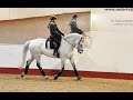 150105 Dressyrträning Zigge för Nina