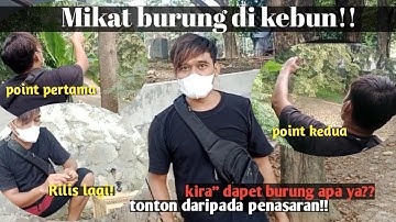 AMPUH!!!Trik Pikat Burung Menggunakan Joran Pancing!!!