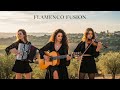 Soul of Fire & Strings • LIVE 🔥 | Epic Flamenco Guitar, Accordion & Violin Fusion