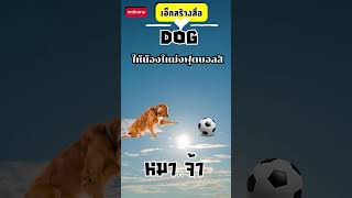 เกมฝึกภาษาอังกฤษ