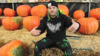 LIL AARON BIG WORLD: EPISODE SIX - Pumpkin patch with Kim Petras