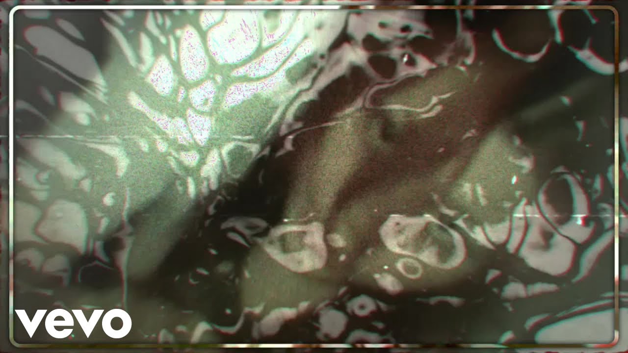 Ophedyn - Summer Skin (Official Music Video)