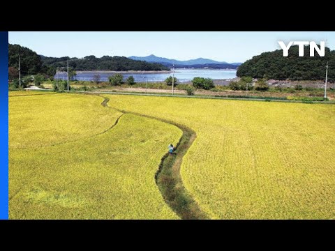 [경기] 김포시, '서울~김포 DMZ' 평화관광 상품 운영 / YTN