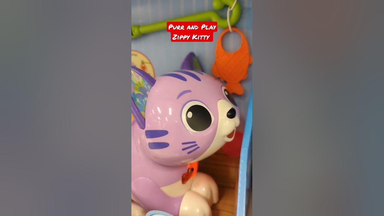 Purr and Play, Zippy Kitty with Musicshorts YouTube