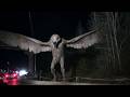 Real Mothman Sightings That Left People Terrified