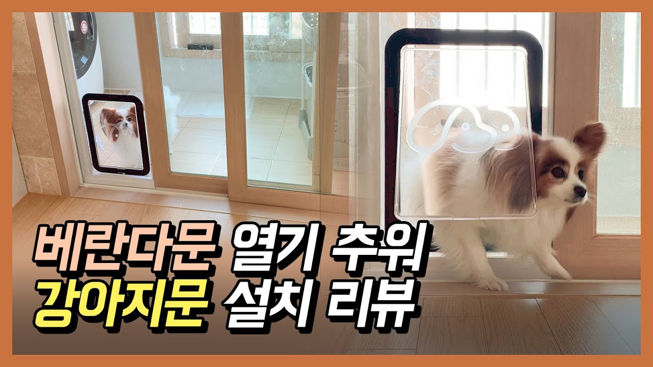 베란다 문 열기 추워서 강아지 전용 문(펫도어) 설치했어요. 빠삐용강아지 소원이. - YouTube 베란다 문 열기 추워서 강아지 전용 문(펫도어) 설치했어요. 빠삐용강아지 소원이. - Youtube
