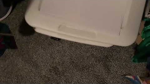 Minecraft UHC but everybody