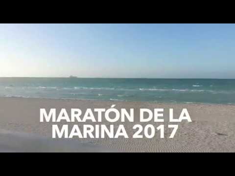 Perfil De Carrera: Legalman De La Marina