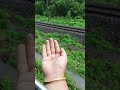 train യാത്രക്കിടയിൽ വടക്കാഞ്ചേരി മുതൽ കാണാൻ ഇടയായ മനോഹരമായ കാഴ്ച 🏞️🛤️