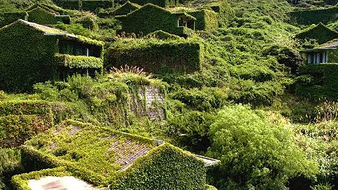 The Abandoned Chinese Village that Nature Reclaimed - DayDayNews