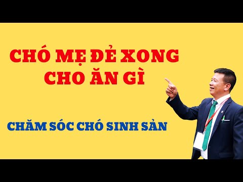 Video: Tại sao Mèo bị mắc kẹt trong những điều?