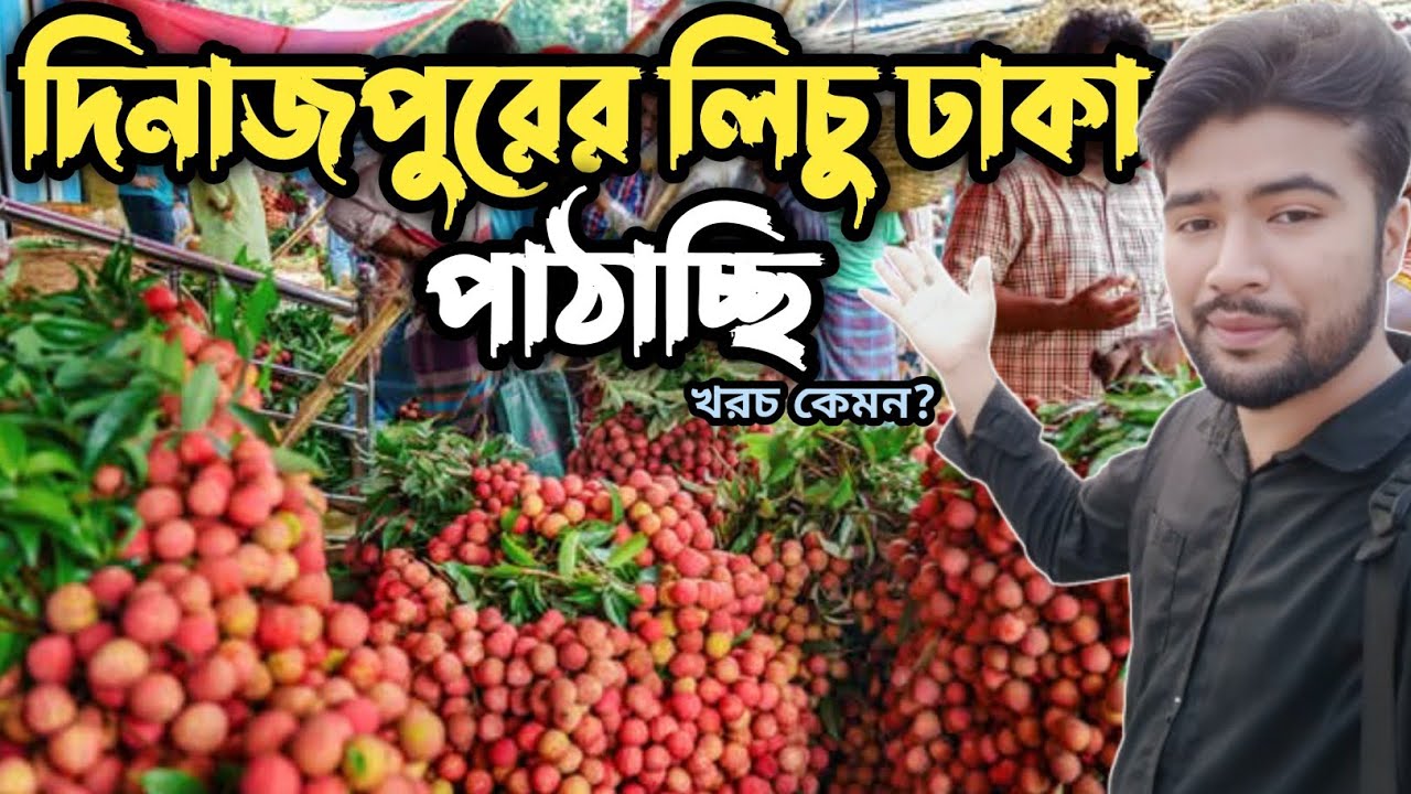 লিচুর স্বর্গ দিনাজপুর | কিভাবে ঢাকায় লিচু পাঠাই | Dinajpur lichu price & delivery 2025