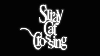 Stray Cat Crossing Greenlight Trailer