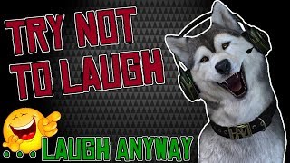 Try Not To Laugh Challenge - Random Videos #1