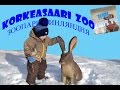 Зоопарк Финляндия Тигр Медведь Животные Никита в Финляндии Zoo Finland Korkeasaari zoo