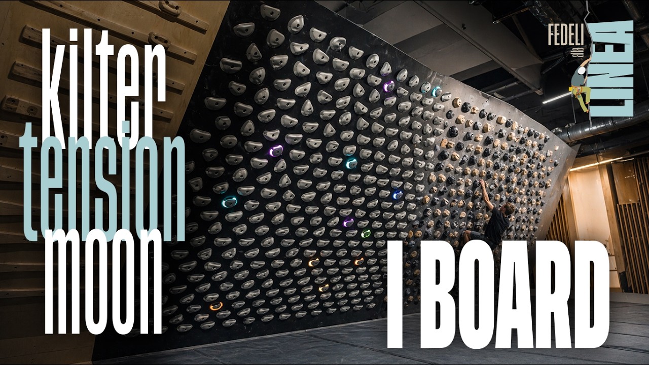 i BOARD a CONFRONTO! Differenze, pro e contro