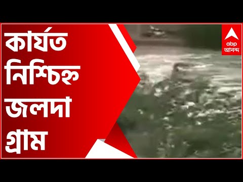 ভিডিও: কীভাবে তার আগ্রহের ঝাপটায়